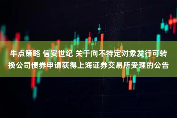 牛点策略 信安世纪 关于向不特定对象发行可转换公司债券申请获得上海证券交易所受理的公告