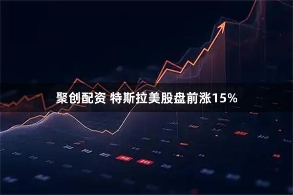 聚创配资 特斯拉美股盘前涨15%