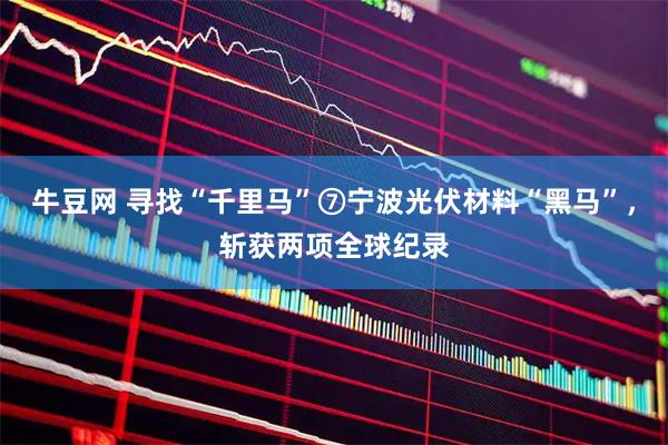 牛豆网 寻找“千里马”⑦宁波光伏材料“黑马”，斩获两项全球纪录