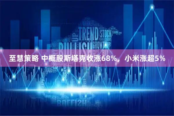 至慧策略 中概股斯塔克收涨68%,小米涨超5%